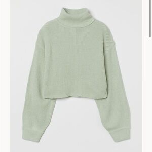 H&M Divided Cropped Green Turtleneck Sweater